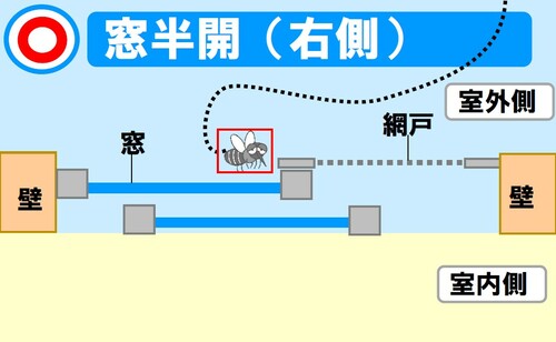 図解！これで虫を防ぐ！網戸と窓の上手な使い方